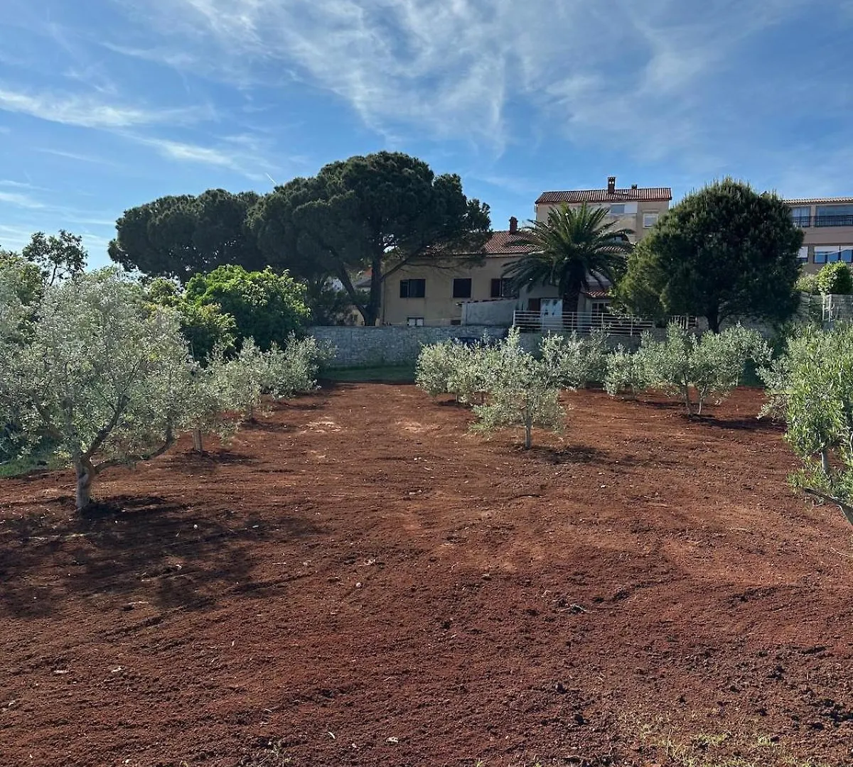 Fragrances Of Istria - The Olives - On The Sea Of Stoia Apartment Pula