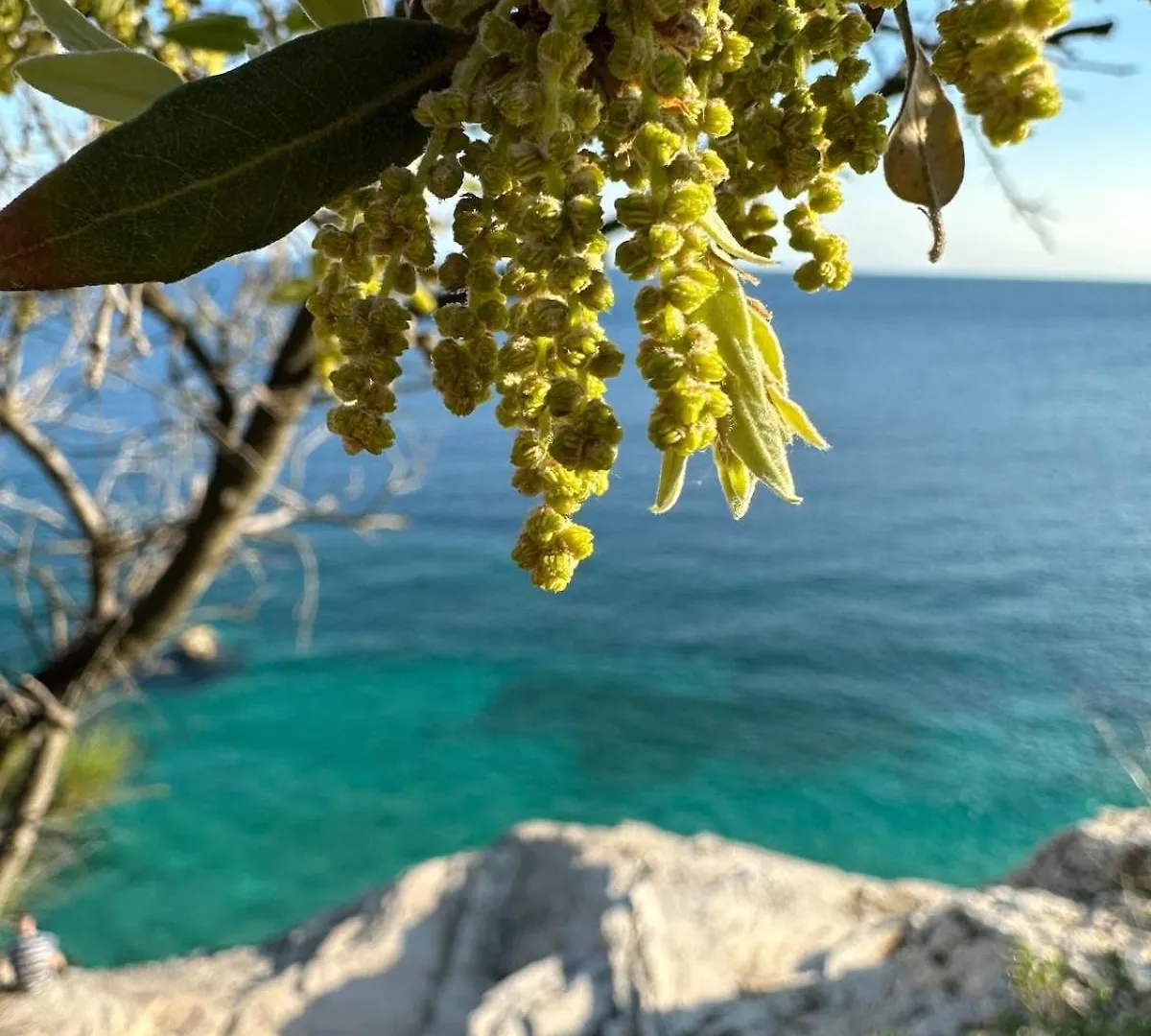 Fragrances Of Istria - The Olives - On The Sea Of Stoia Apartment Pula