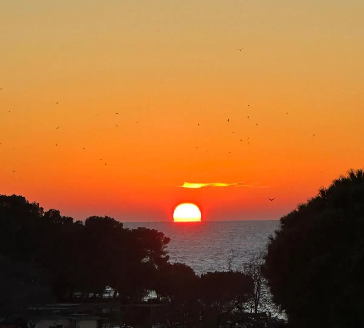 Fragrances Of Istria - The Olives - On The Sea Of Stoia Apartment Pula